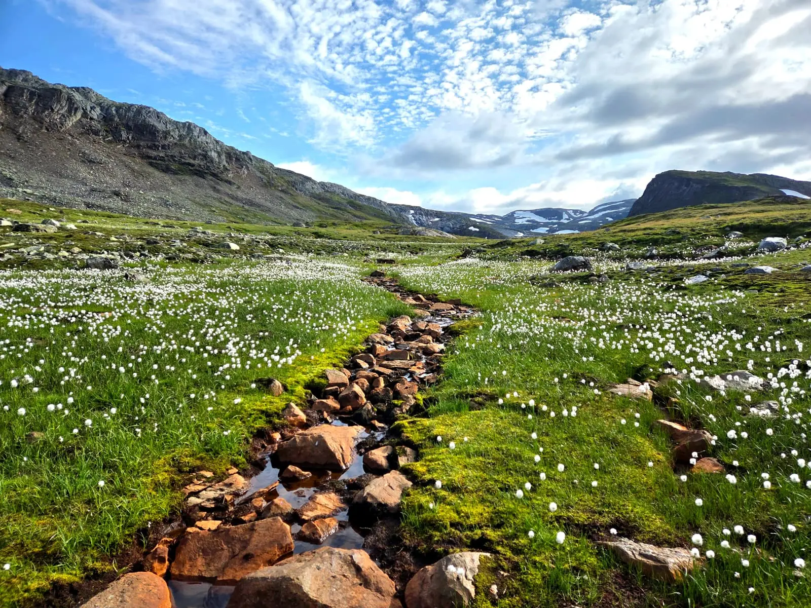 Norwegische Natur